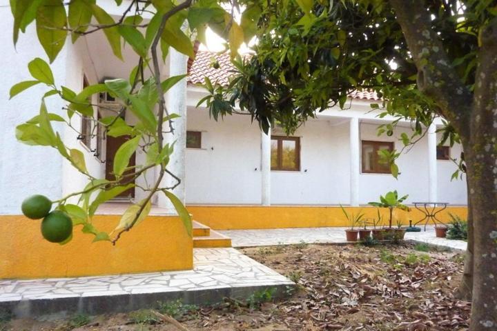 Quinta Laranjal Da Arrabida Bed & Breakfast Palmela Exterior photo